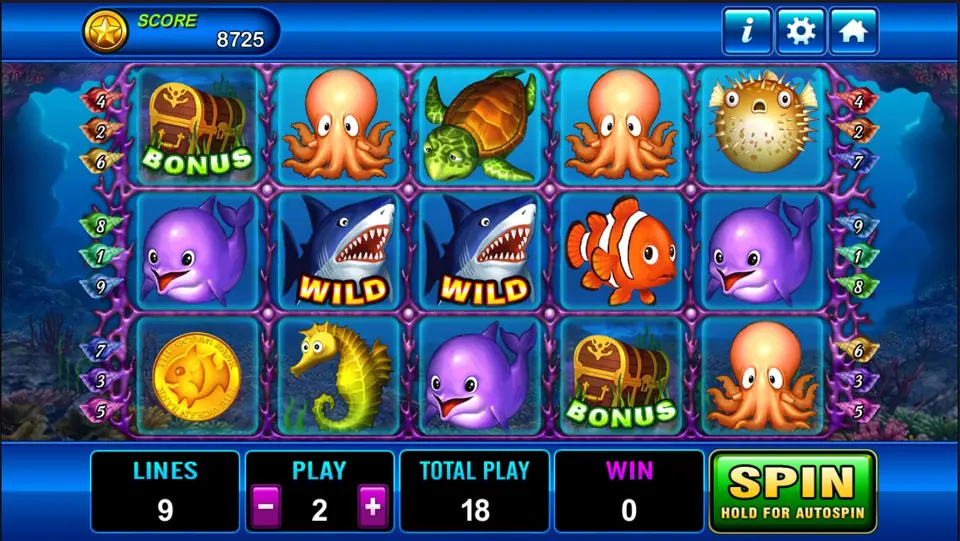 Dolphin slot on Play8oy with deep-sea reels and a dolphin symbol